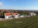 Property with a panorama, next to a grape arbor