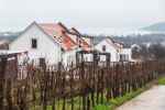 Property with a panorama, next to a grape arbor